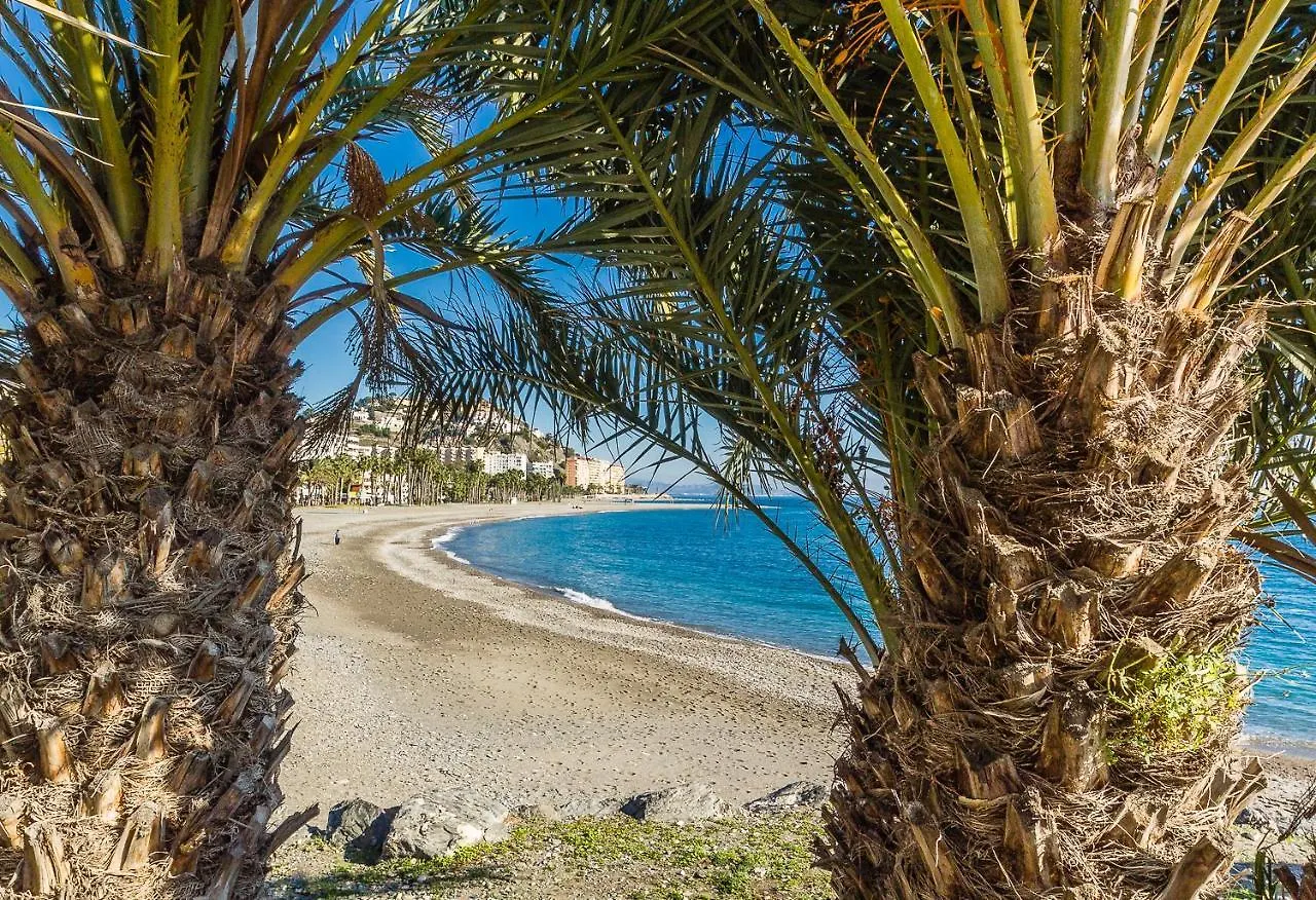 ** Penzion Hostal Tropical Almuñécar Španělsko
